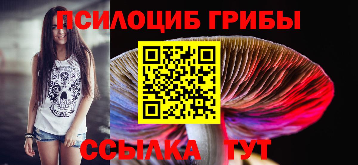закладка  Псилоцибиновые грибы прущие грибы  Вход с VPN  Черкесск 
